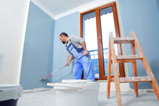 Reliable Keowee Key, SC Mold Removal Solutions
