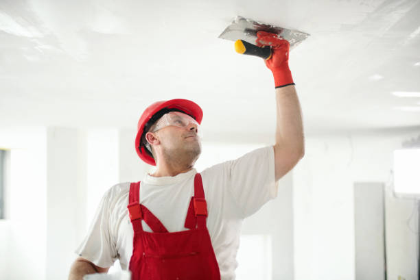 Best Residential Mold Inspection & Testing  in Keowee Key, SC