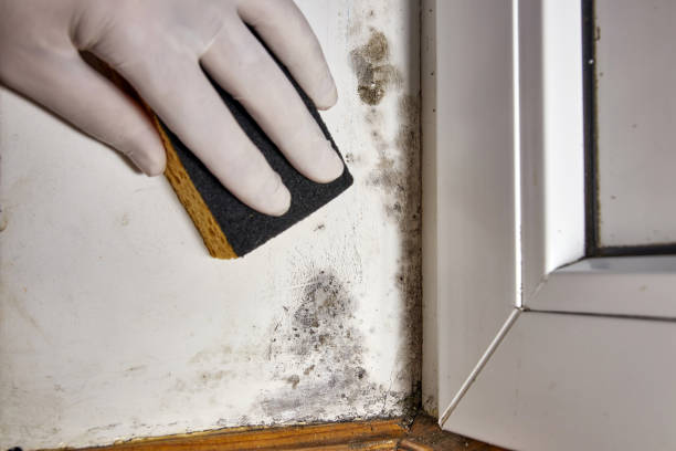 Best Air Quality Testing for Mold Spores  in Keowee Key, SC