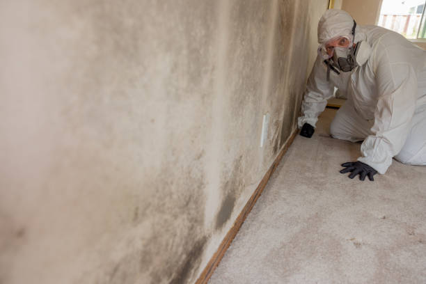  Keowee Key, SC Mold Removal Pros